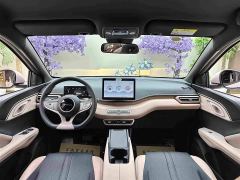BYD Seagull 305km Vitality Edition - photo 15