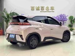 BYD Seagull 305km Vitality Edition - photo 5