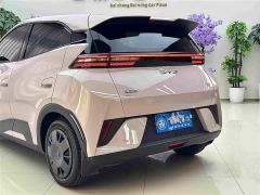 BYD Seagull 305km Vitality Edition - photo 8