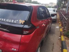 Dayun Grand Yuhu 300km Standard Edition 30.66kWh - фото 5