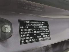 XPeng P7 Extended Range 1550 Max Flagship - фото 12