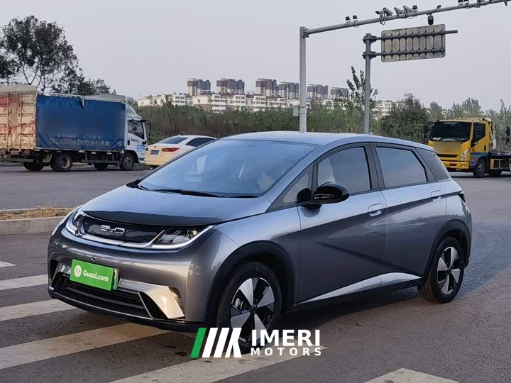 BYD Dolphin 420km Freedom Edition - ავტომობილი ჩინეთიდან