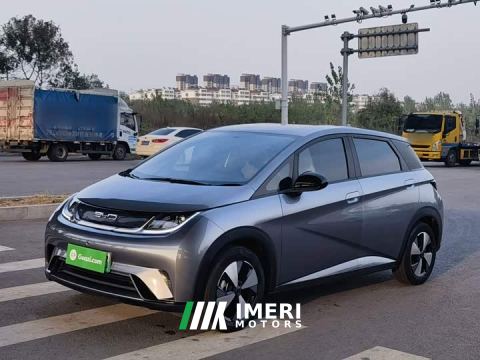 2023 BYD Dolphin 420km Freedom Edition - автомобиль из Китая