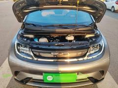 BYD Dolphin 420km Freedom Edition - ფოტო 19