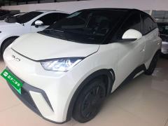 BYD Seagull Vitality Edition - ფოტო 1