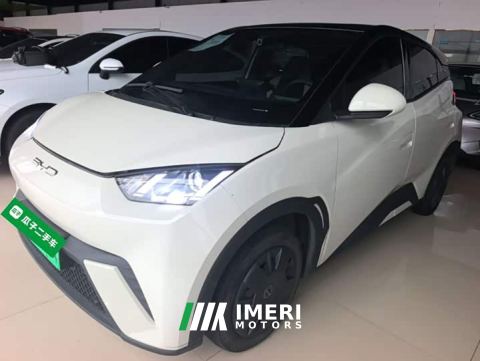 2024 BYD Seagull Vitality Edition - автомобиль из Китая