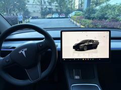 Tesla Model Y Rear-Wheel Drive - photo 20