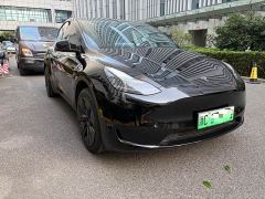 Tesla Model Y Rear-Wheel Drive - photo 6