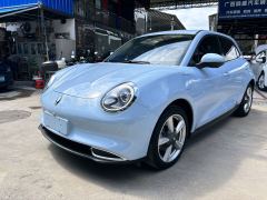 Ora Great Wall Good Cat 401km Standard Range Executive Edition Ternary Lithium - фото 1