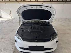 BYD Qin PLUS EV Smart Drive 420KM Leading Edition - ფოტო 19