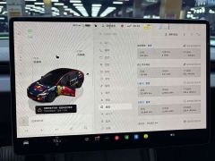 Tesla Model 3 Rear-Wheel Drive - ფოტო 15