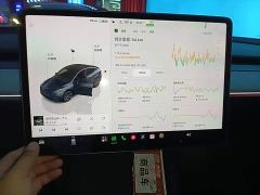 Tesla Model Y Rear-Wheel Drive - ფოტო 12