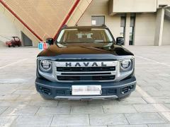 Great Wall Dachshund 1.5T DCT Labrador Edition - ფოტო 2