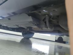 Haval Great Wall Dog 2.0T 4WD Chinese Garden Dog Edition - photo 11