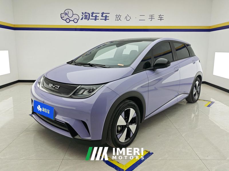 BYD Dolphin 420km Stylish Edition - car from China