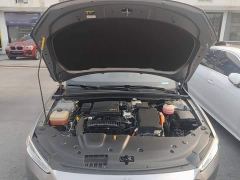 BYD Qin PLUS Glory Edition DM-i 55KM Leading - photo 19