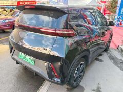 BYD Seagull Flying Edition - фото 8