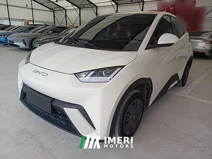 BYD Seagull Vitality Edition - car from China