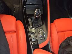 BMW X2 xDrive25i M Off-Road Package - ფოტო 9