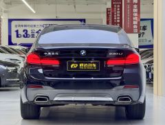 BMW 5 Series 530Li Luxury M Sport Package - ფოტო 14