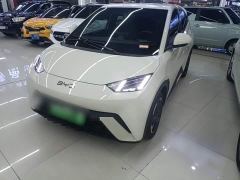 BYD Seagull Freedom Edition - фото 1