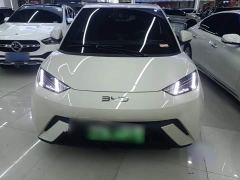 BYD Seagull Freedom Edition - фото 2