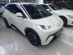 BYD Seagull Freedom Edition - фото 3