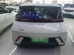 BYD Seagull Freedom Edition - фото 5