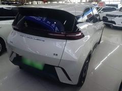 BYD Seagull Freedom Edition - фото 6