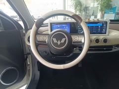 Wuling Binguo 203km Comfort Edition - ფოტო 10