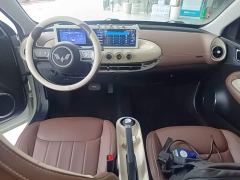 Wuling Binguo 203km Comfort Edition - ფოტო 9