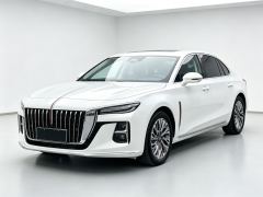 FAW Hongqi H5 1.5T Double Clutch Flag Yue Edition - ფოტო 1
