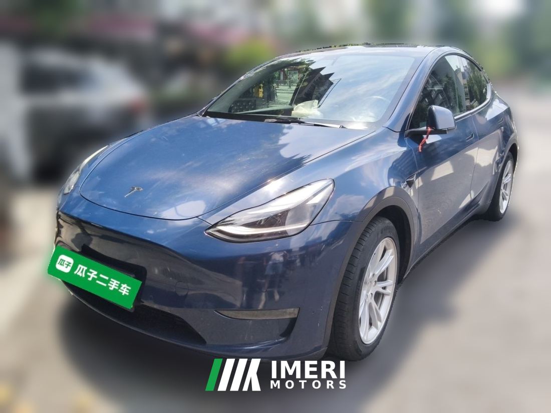 Tesla Model Y Standard endurance rear-wheel drive - ავტომობილი ჩინეთიდან