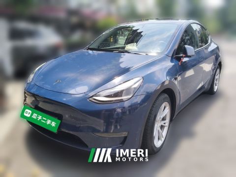 2021 Tesla Model Y Standard endurance rear-wheel drive - ავტომობილი ჩინეთიდან