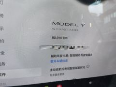 Tesla Model Y Standard endurance rear-wheel drive - ფოტო 13