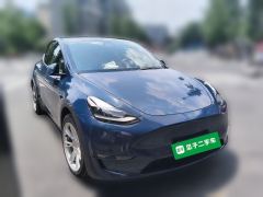 Tesla Model Y Standard endurance rear-wheel drive - ფოტო 3