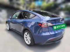 Tesla Model Y Standard endurance rear-wheel drive - ფოტო 4
