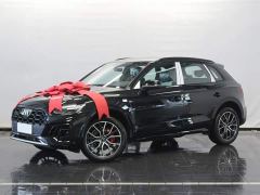 Audi Q5L quattro 45th Anniversary Heritage Edition 45 TFSI Luxury Dynamic Edition - фото 2