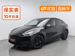 Tesla Model Y Standard endurance rear-wheel drive - ფოტო 1