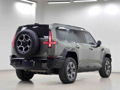 Dongfeng Mengshi M817 1.5T 140km Max - ფოტო 6
