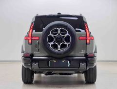 Dongfeng Mengshi M817 1.5T 140km Max - ფოტო 7