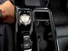 Great Wall Dachshund 2.0T DCT Four-Wheel Drive Chinese Rural Dog Edition - photo 13