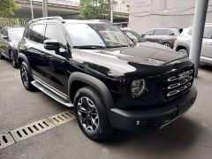 Great Wall Dachshund 2.0T DCT Four-Wheel Drive Chinese Rural Dog Edition - photo 3