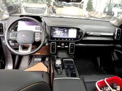 Great Wall Dachshund 2.0T DCT Four-Wheel Drive Chinese Rural Dog Edition - photo 9