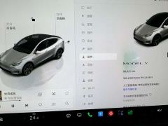 Tesla Model Y Rear-Wheel Drive - фото 12