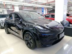 Tesla Model Y Rear-Wheel Drive - фото 3