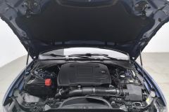Jaguar XEL P250 Enterprising Sport Edition - ფოტო 7
