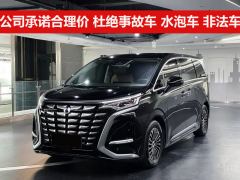 Denza D9 DM-i 1.5T 200km Exclusive Frontrunner 7-seater - photo 1