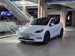 Tesla Model Y Performance All-Wheel Drive - фото 1