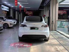 Tesla Model Y Performance All-Wheel Drive - фото 3